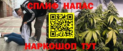 спайс Краснознаменск