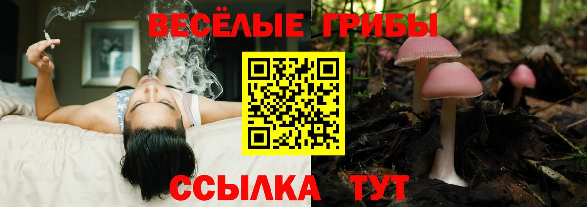 Кашира  Псилоцибиновые грибы Cubensis  Вход с VPN  Галлюциногенные грибы GOLDEN TEACHER 