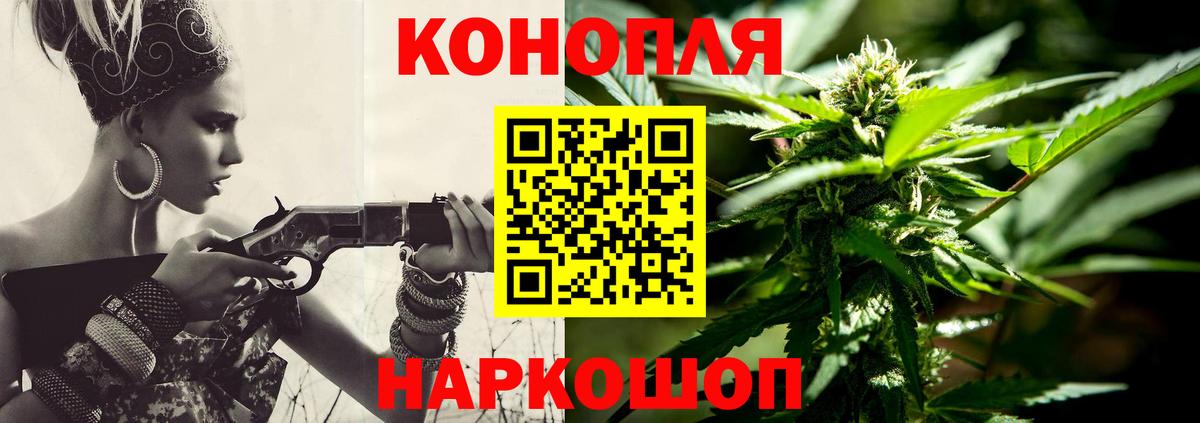 Бошки марихуана конопля Кашира
